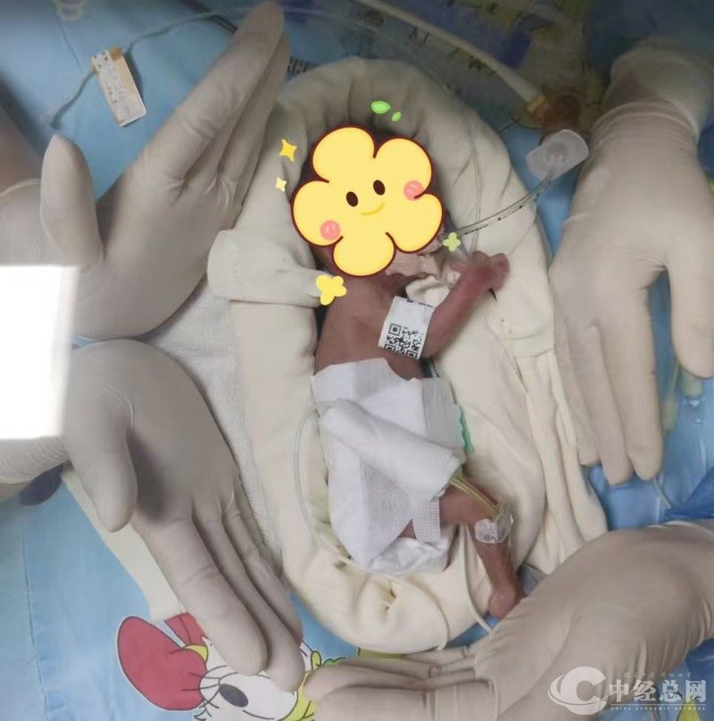 1736155990582835.jpg 宝宝1.jpg