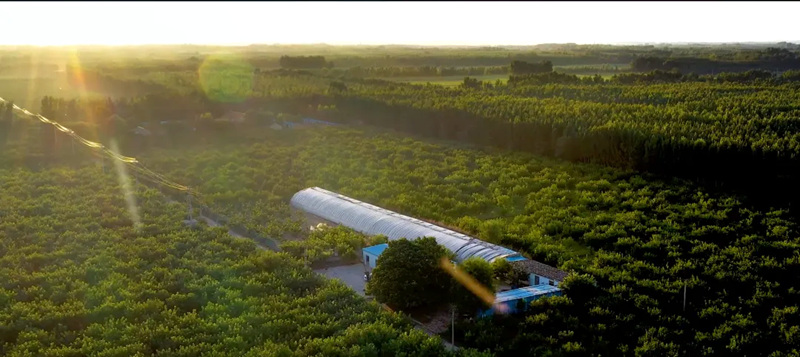 1736921067254234.jpg 1_副本.jpg