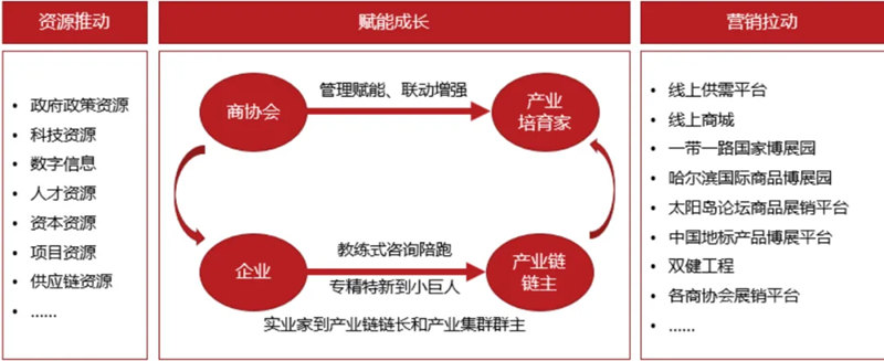 1737732129840675.jpg 12_副本.jpg