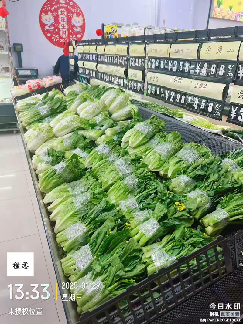 1738316113309727.jpg 1.jpg