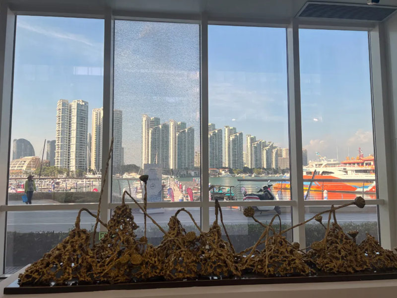 1738757875978964.jpg 11_副本.jpg