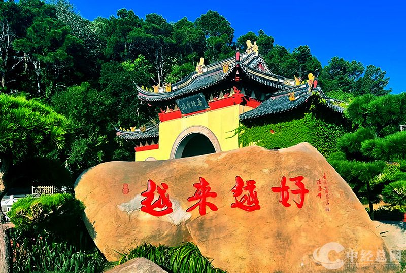 1739521070317384.jpg 7.jpg