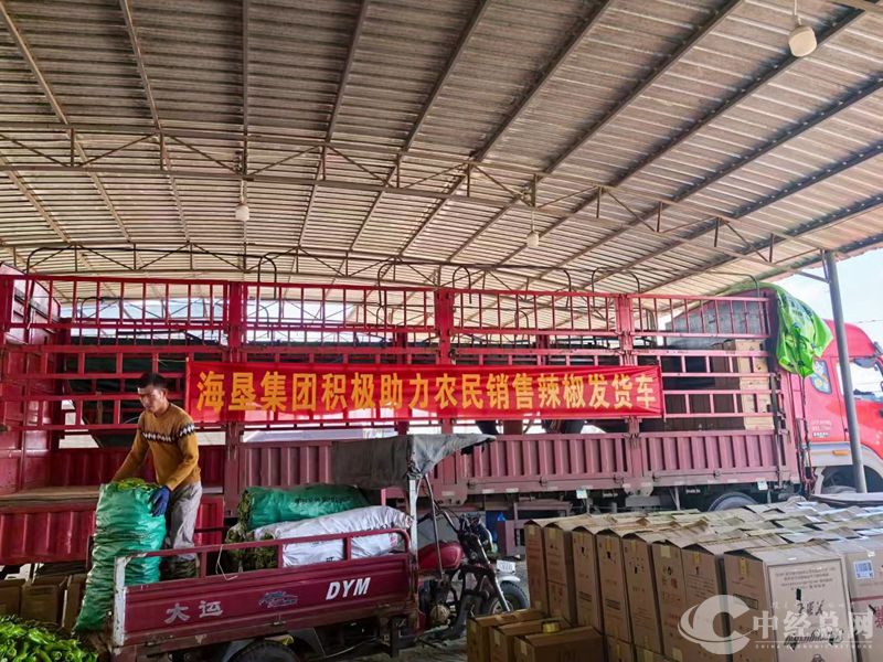 1739682370769479.jpg 微信图片_20250216124203_副本.jpg