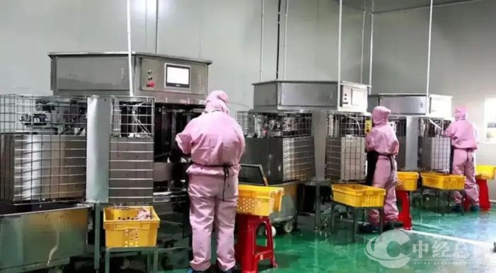 微信图片_20250302090415.jpg