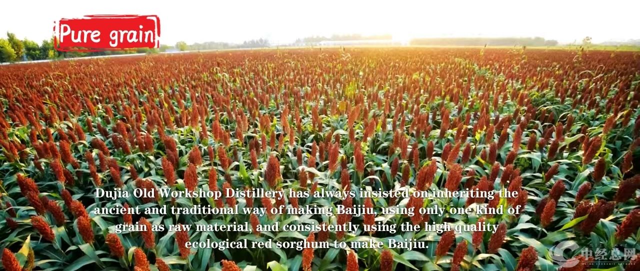 1741349428346339.jpg fdddb07d23026abd66aec737a42cba4.jpg