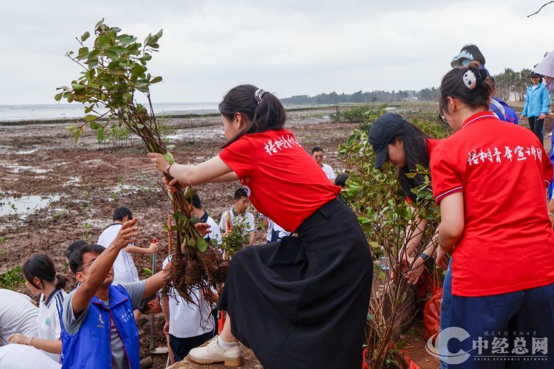 1741783459787082.jpg 递树苗.jpg