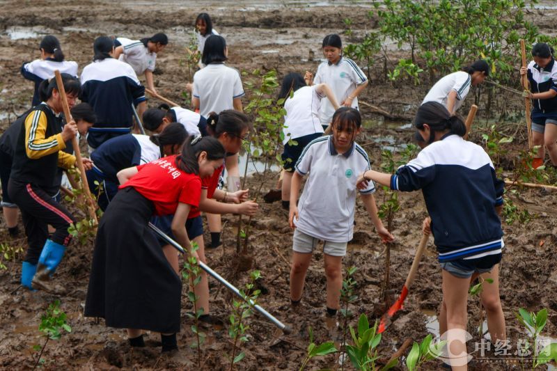 1741783467203633.jpg 植树 (1).jpg