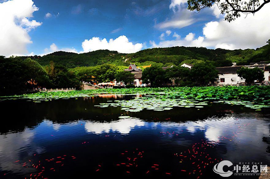 1742483580223860.jpg 普陀.jpg