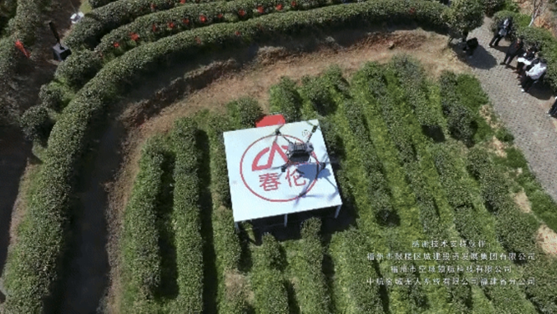 1742635011746649.jpg 6_副本.jpg