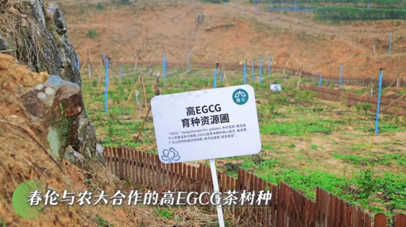 1742635074684056.jpg 9_副本.jpg