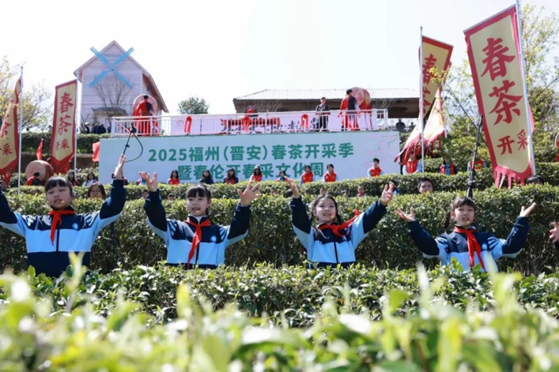 1742635085647105.jpg 11_副本.jpg