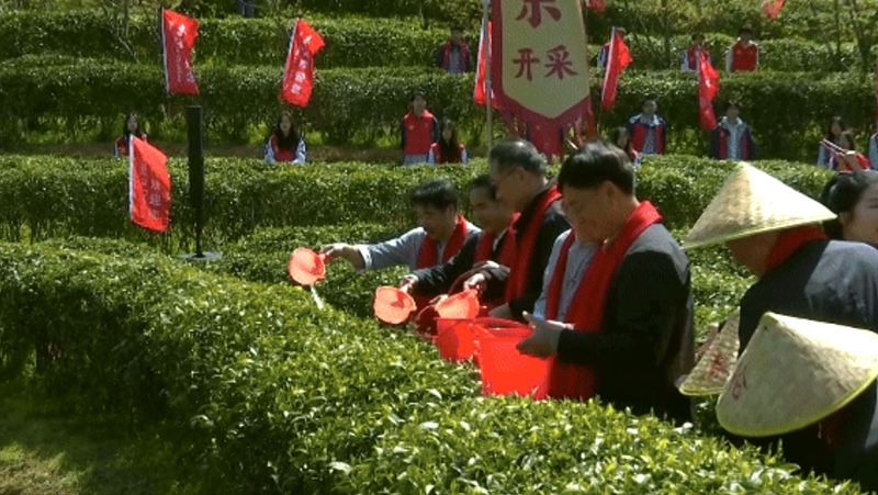 1742635227330934.jpg 31_副本.jpg