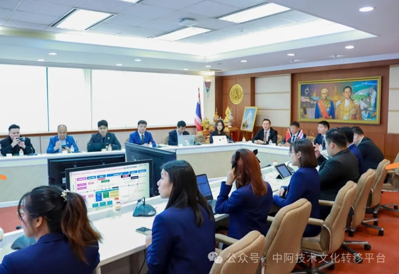 1742981681775461.jpg 13_副本.jpg