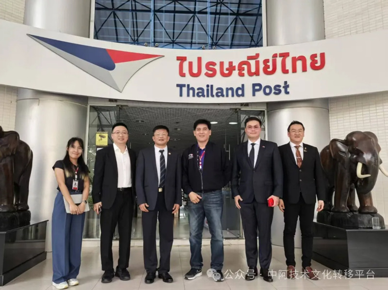 1742981785294254.jpg 18_副本.jpg