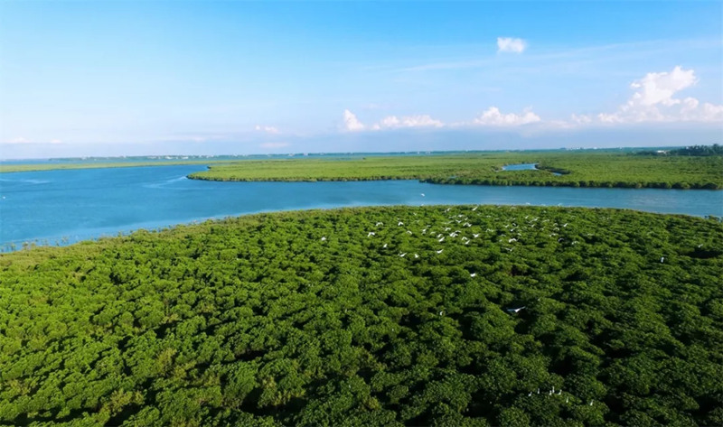 1743054632342044.jpg 3_副本.jpg