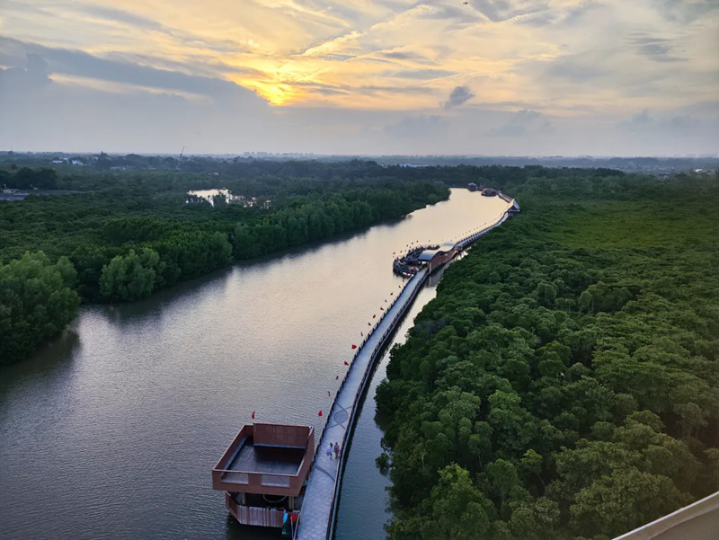 1743054733444235.jpg 6_副本.jpg