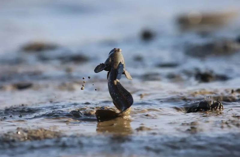 1743054748146746.jpg 7_副本.jpg