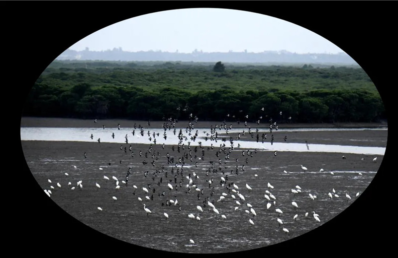 1743054774475069.jpg 11_副本.jpg