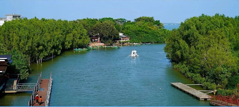 1743054784621558.jpg 12_副本.jpg