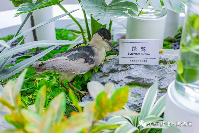 1743054873800050.jpg 15_副本.jpg