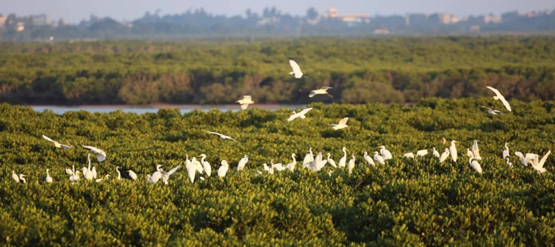 1743055071944142.jpg 23_副本.jpg