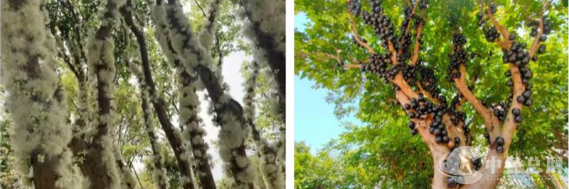 1743473780568559.png 图片6.png