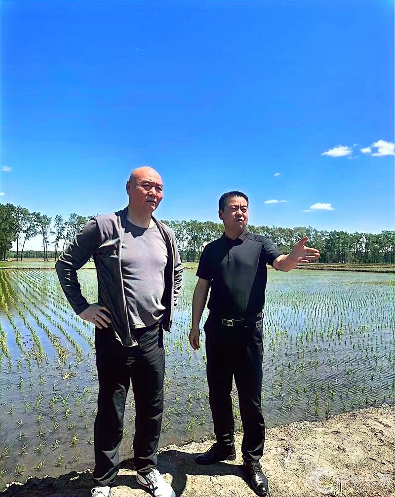 1744696498512849.jpg 微信图片_20250415134305_副本.jpg