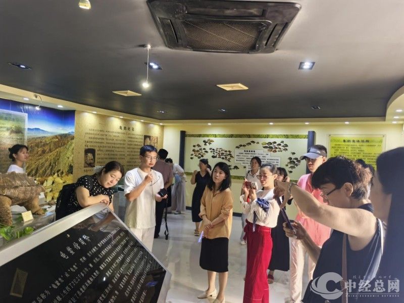 1746629685124022.jpg 1.jpg