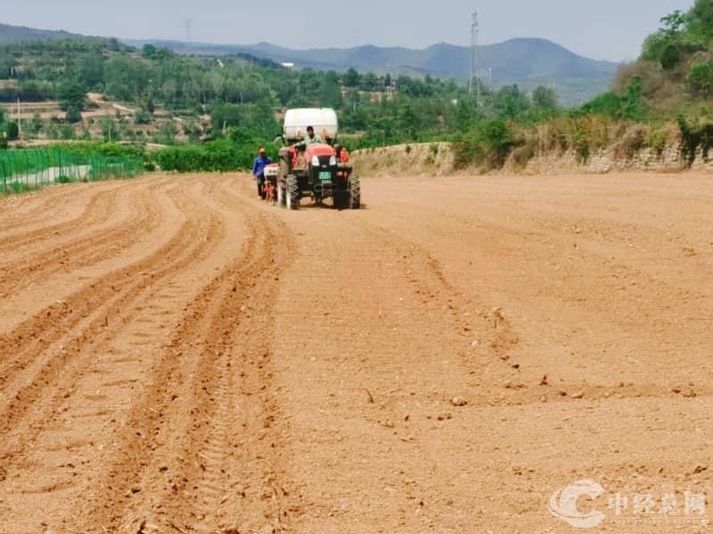 1747474572550435.jpg 微信图片_20250514152311.jpg