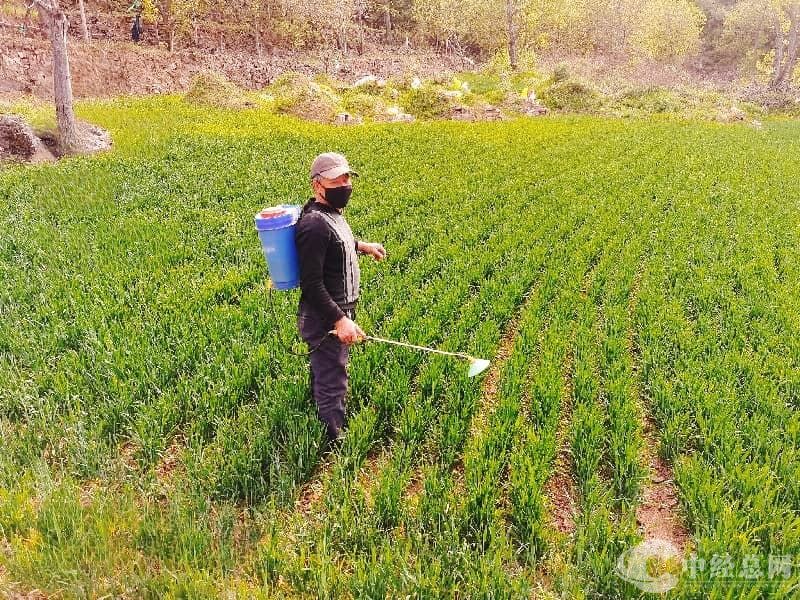 1747474612621885.jpg 微信图片_20250514152222.jpg