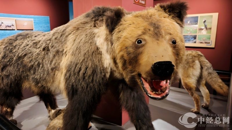 1754621453525015.jpg 11.jpg