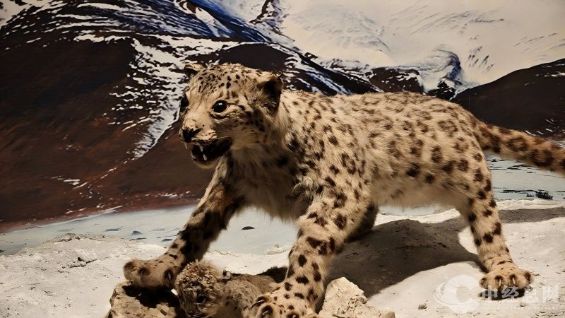 1754621460243711.jpg 12.jpg