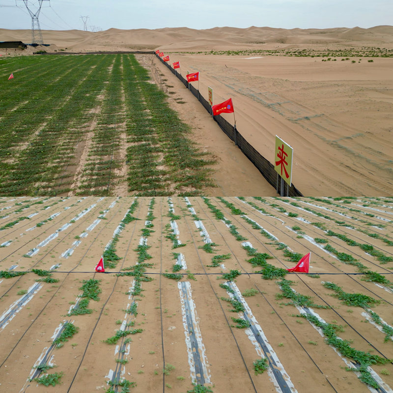 1754702326734547.jpg 图片6.jpg