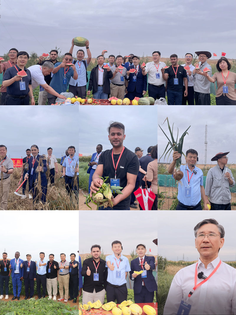 1754702362291535.jpg 图片9.jpg