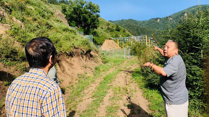 1755147697312411.jpg 微信图片_2025-08-12_230053_957.jpg