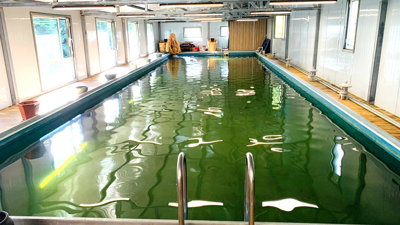 1755147821196660.jpg 微信图片_2025-08-12_234052_633.jpg