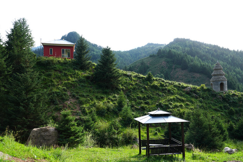 1755149397898579.jpg DSC00397.JPG