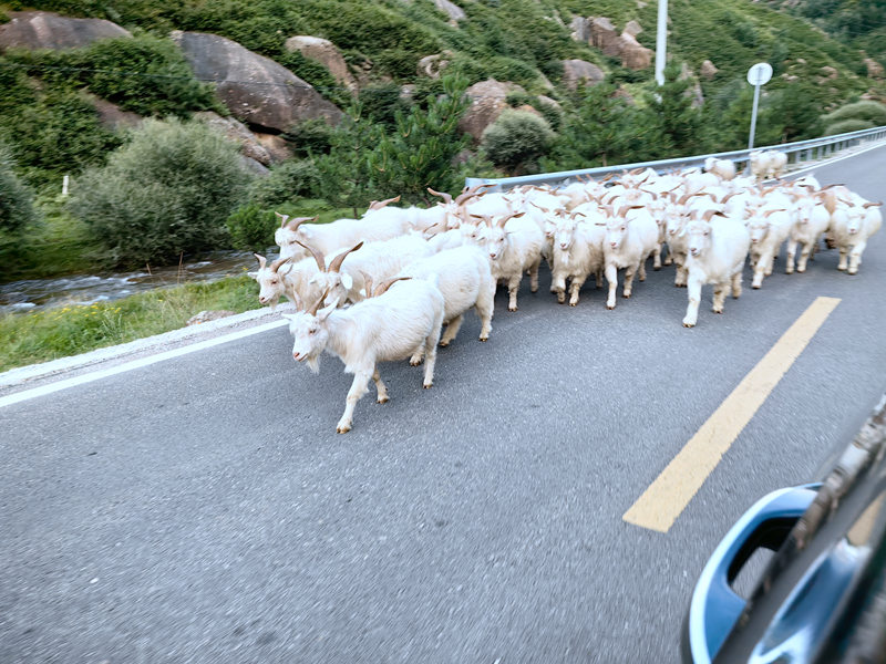 1755150769647312.jpg 微信图片_2025-08-12_231954_347.jpg