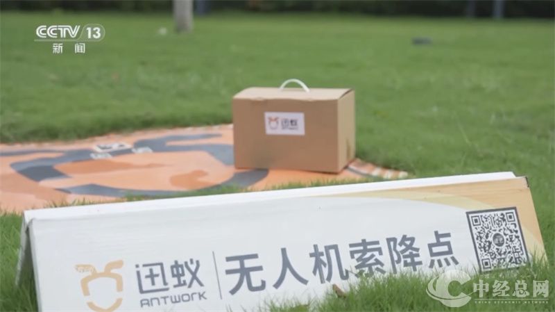 1755776863408686.jpg 蚂蚁1.jpg