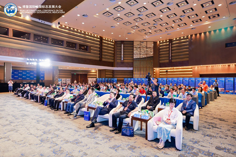 1760358698940495.jpg 2.jpg