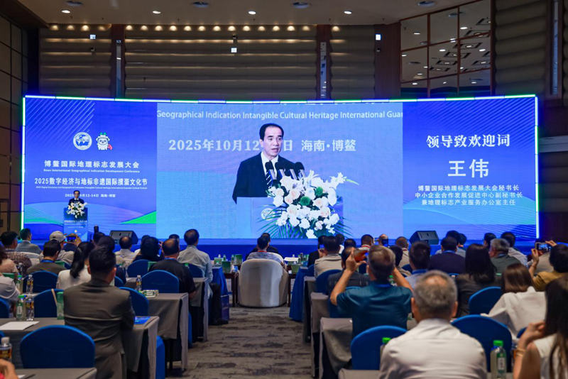 1760617954772724.jpg 2.jpg