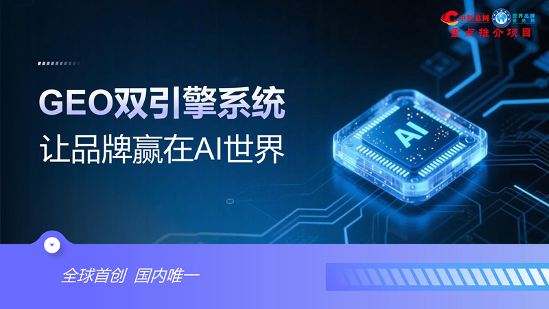 1762835995648464.jpg GEO双引擎:让品牌赢在AI世界(全球首创 国内唯一)_42.jpg