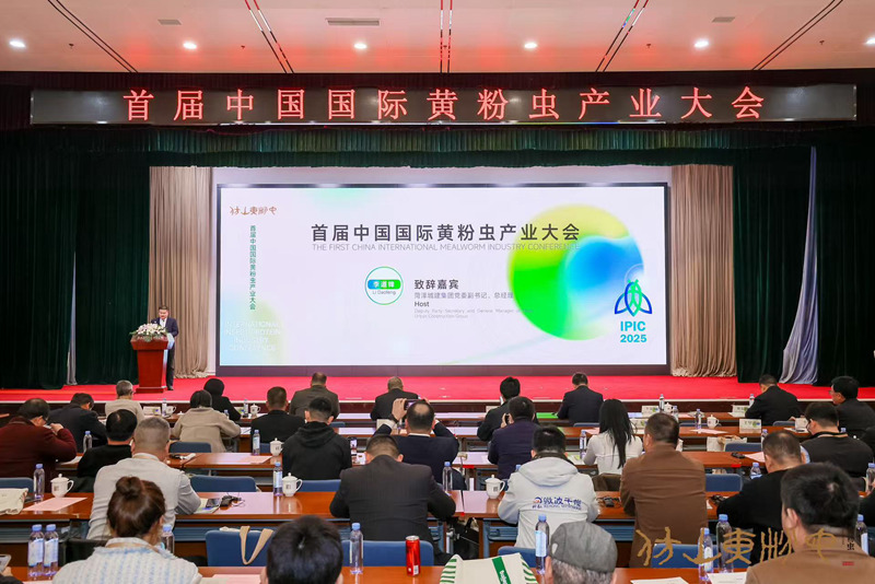 1763118771856739.jpg 1.jpg