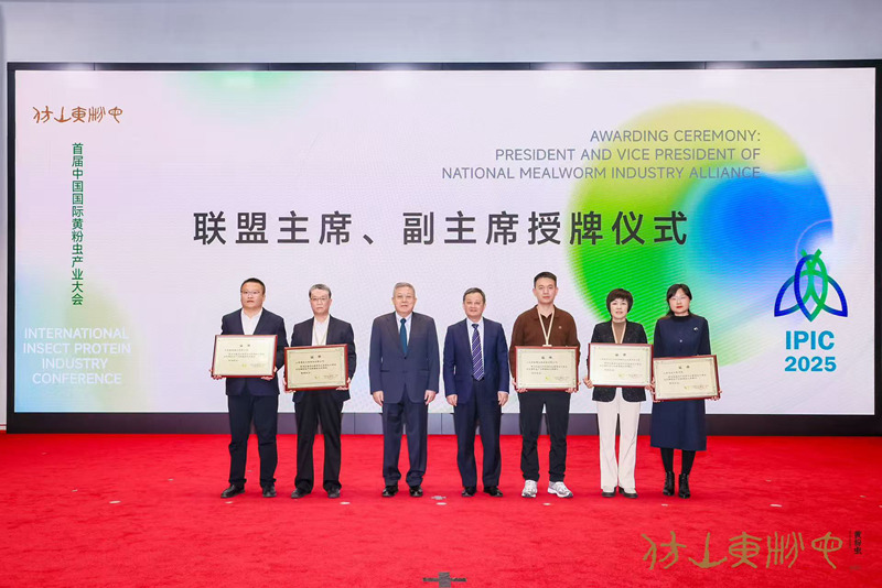 1763118788816580.jpg 3.jpg