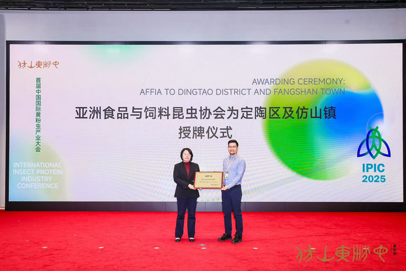 1763118801723715.jpg 5.jpg