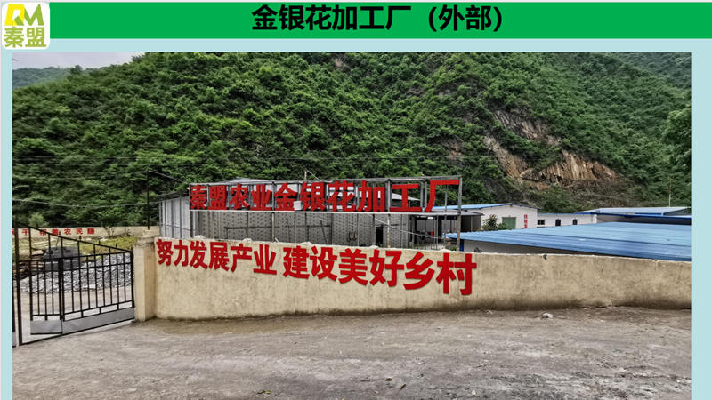 1767450477647372.jpg 1_副本.jpg