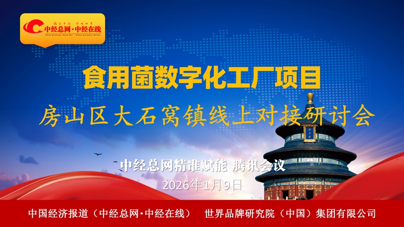 1768020420989163.jpg 视频会议-会议背景_01_副本.jpg