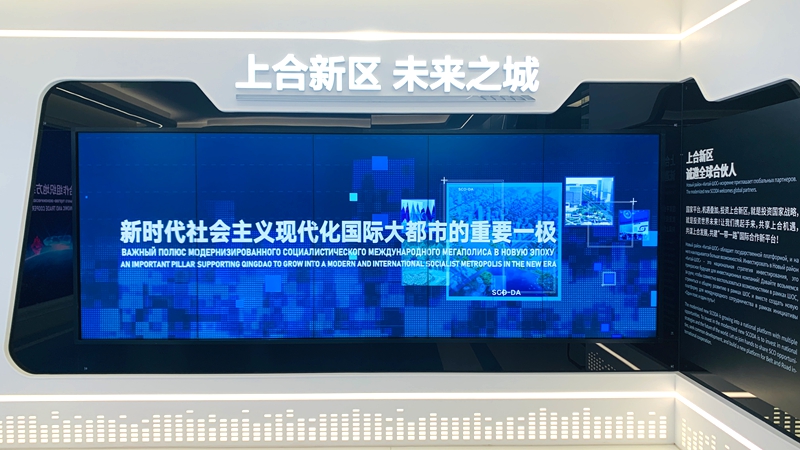 微信图片_20260201133834_839_21.jpg