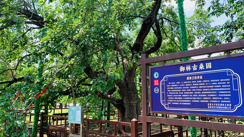 微信图片_20260610174439_77_12873.jpg