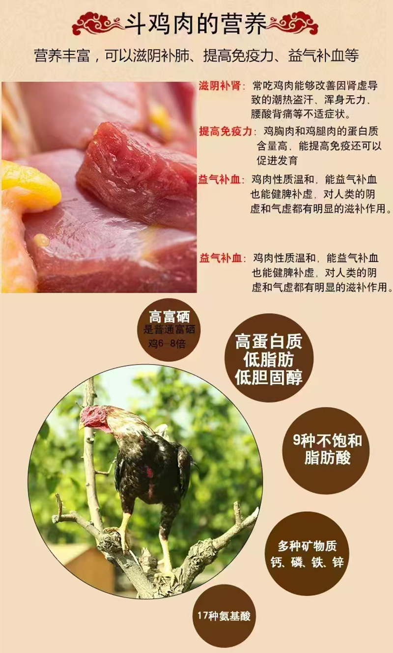 图片10.jpg